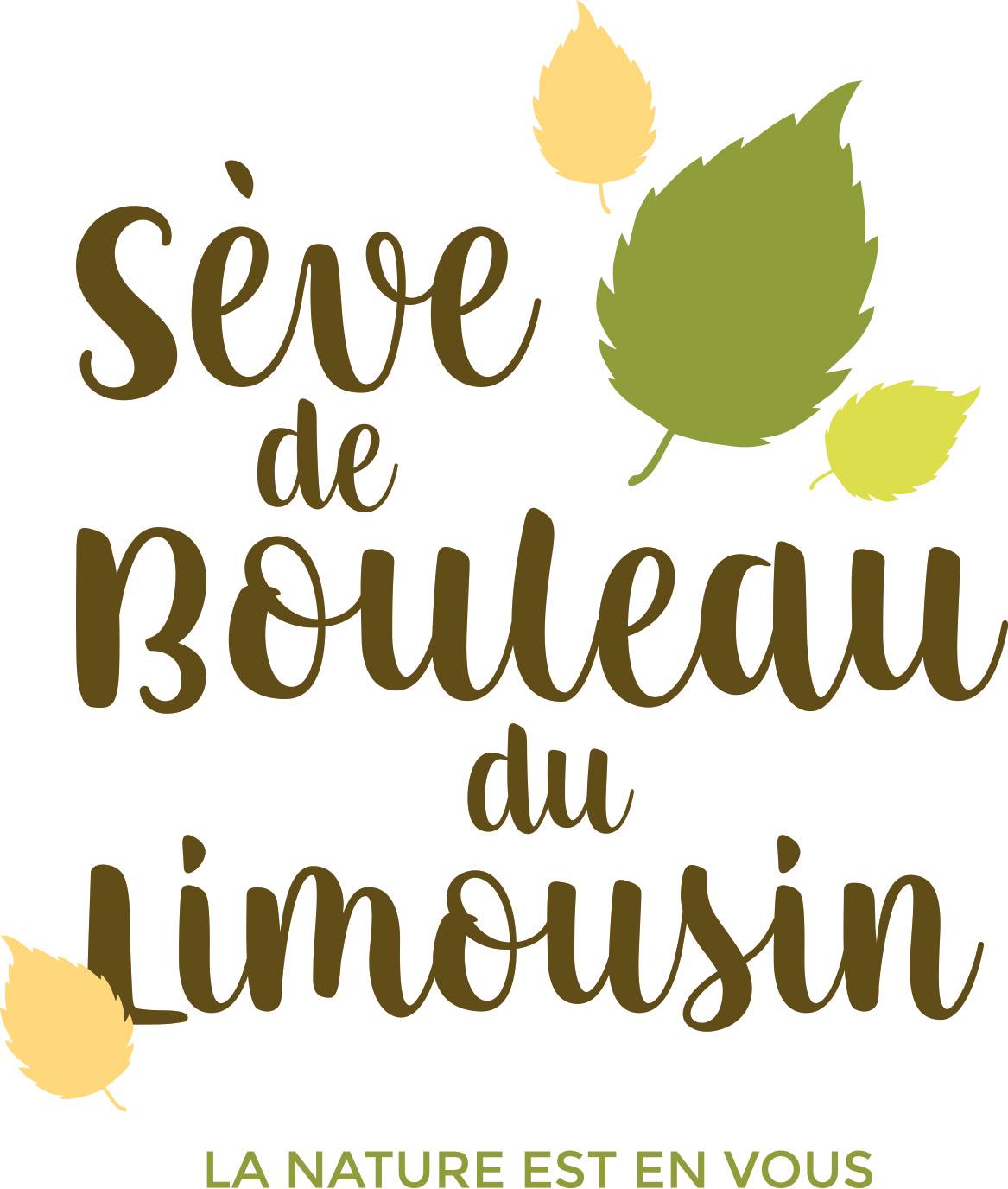 Découverte de la sève de bouleau du Limousin le mardi 24 octobre Découverte de la sève de bouleau du Limousin le mardi 24 octobre