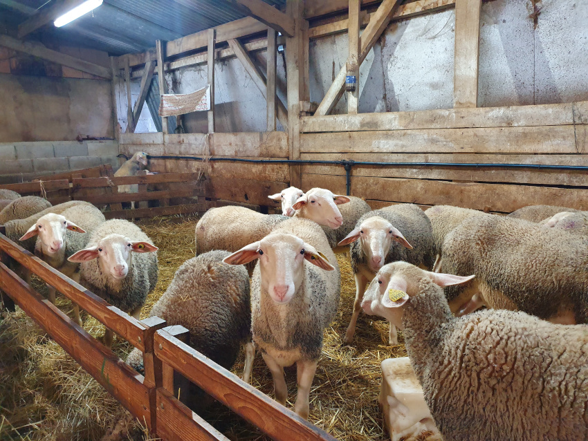 Nouveauté dans vos Biocoop de Sarlat et Montignac !