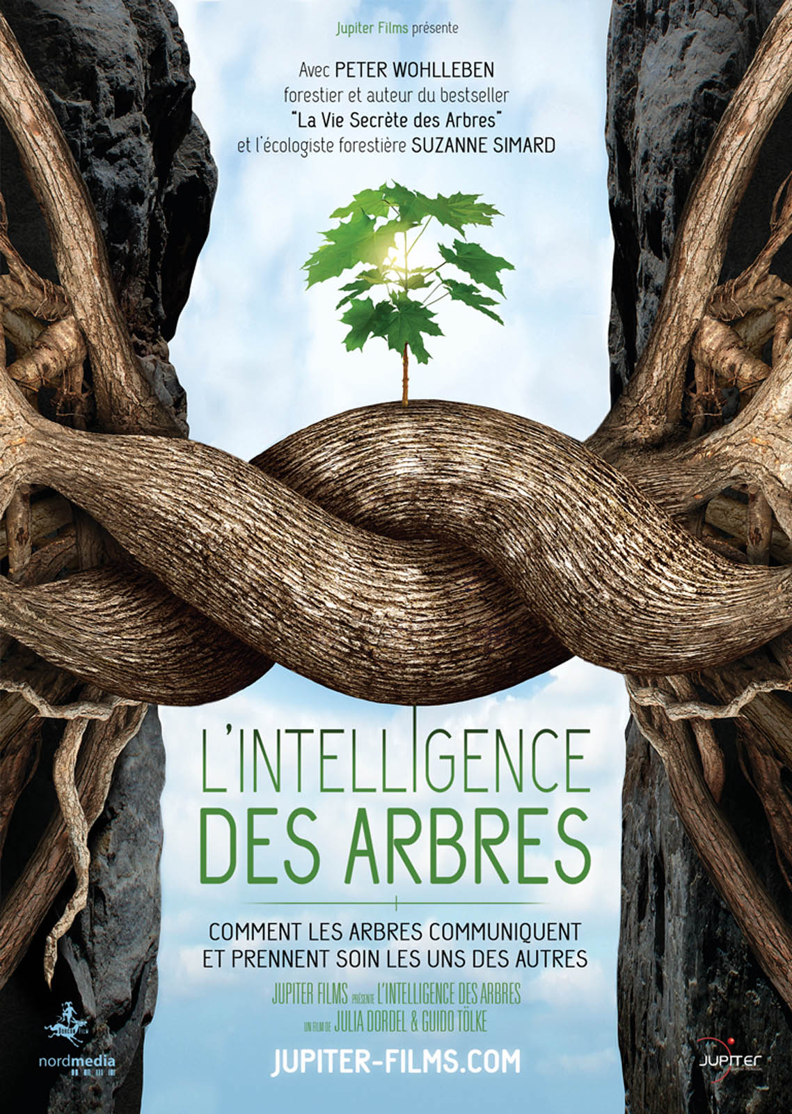 Diffusion du documentaire « L’intelligence des arbres » le mardi 10 octobre Diffusion du documentaire « L’intelligence des arbres » le mardi 10 octobre